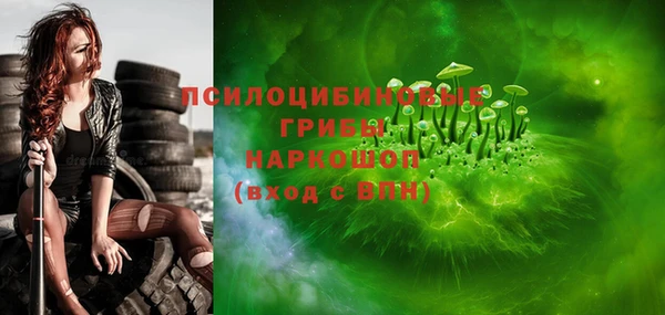 прущий лед Алзамай